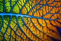 a leaf pattern on the back of a blue chair cushion