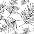 Leaf pattern. Seamless vector backdrop. Hand drawn tropical palm leaves on white background. Sketch style. Black on Royalty Free Stock Photo