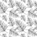 Leaf pattern. Seamless vector backdrop. Hand drawn tropical palm leaves on white background. Sketch style. Black on Royalty Free Stock Photo