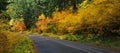 Leaf Peeping Road Trip - Gifford Pinchot National Forest - Wa State
