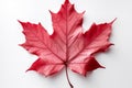 Leaf perfection Red maple leaf elegantly displayed on a white surface