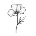 leaf Periwinkle flower ai generated