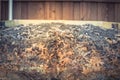 Leaf pile with decomposed top part sustainability urban farm in Texas, America