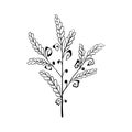 Leaf plant forest herb. one stylized branch.