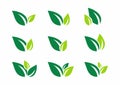 Leaf, plant, logo, ecology, wellness, green, leaves, nature symbol icon set of vector designs