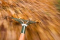 Leaf raking