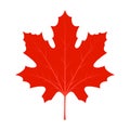 Leaf red maple maple vector canada icon. Leaf maple illustration. Leaf vector symbol maple. Clip art leaf vector Royalty Free Stock Photo