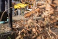 removing leaves from the terrace