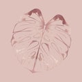 Leaf. Rose gold. Hand drawing. Vector illustration