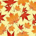 Leaf seamless pattern, vector background. Autumn yellow and red leaves on a . For the design of wallpaper, fabric Royalty Free Stock Photo