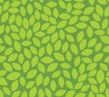 Leaf seamless pattern vector plant background. Nature flat leaf herb green soft vine pattern Royalty Free Stock Photo