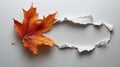 Leaf Seen Through Paper Hole Royalty Free Stock Photo