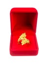 Leaf shape gold ring in red velvet box isolated on white background, Save with clipping path Royalty Free Stock Photo