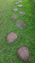 Leaf shape stepping stone pathway laying on the grass at garden or park Royalty Free Stock Photo