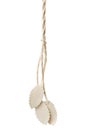 leaf shaped blank tag labels with rope string isolated
