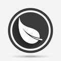 Leaf sign icon. Fresh product symbol. Royalty Free Stock Photo