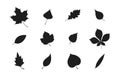 Leaf silhouette set. nature and plant design element. leaf of trees collection