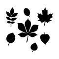 Leaf Silhouettes Collection Seven Distinct Black Leaves Vector Illustration Royalty Free Stock Photo