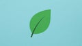 Leaf with a simple stylized design is set against a light blue Royalty Free Stock Photo