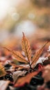 A leaf is sitting on the ground in front of a blurry background, AI Royalty Free Stock Photo