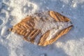 Leaf on snow with snowflakes on it