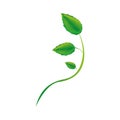 Leaf sprout icon image