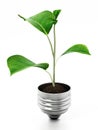 Leaf standing on top of the lightbulb base. 3D illustration