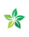 Leaf star logo , nature logo vector