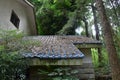 The leaf-strewn roof in a natural park