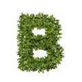 Leaf style letter b. 3D render of grass font