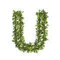 Leaf style letter u. 3D render of grass font