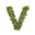 Leaf style letter v. 3D render of grass font