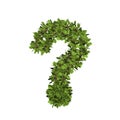 Leaf style question mark. 3D render of grass font