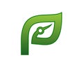 Leaf tech letter p logo design