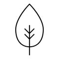 Leaf thin line icon. Simple leaf vector illustration isolated on white. Abstract leaf outline style design, designed for