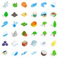 Leaf tree icons set, isometric style Royalty Free Stock Photo