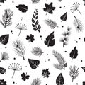 Leaf tree vector seamless pattern, plant print fir and pine cone, evergreen, leaves different shapes, black silhouettes isolated Royalty Free Stock Photo