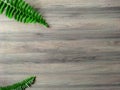 Leaf tropical background Texture fake Wood
