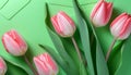 Leaf tulip floral bloom bouquet blossom spring flowers background pink green nature Royalty Free Stock Photo