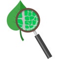 Leaf under magnifying glass loupe icon vector