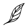 Leaf vector icon. Hand drawn doodle isolated on white. Veined birch or elm foliage, on stem Royalty Free Stock Photo