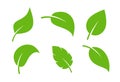 Leaf vector icon logo. Vegan leaves green eco flat herbal icon simple shape Royalty Free Stock Photo