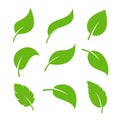 Leaf vector icon logo. Vegan leaves green eco flat herbal icon simple shape Royalty Free Stock Photo