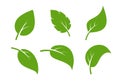 Leaf vector icon logo. Vegan leaves green eco flat herbal icon simple shape Royalty Free Stock Photo