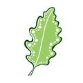 Leaf vector illustration. Interior print design. Oak green leaf. Cute sticker or tattoo art . Royalty Free Stock Photo