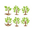 Leaf vector, Plants, green, nature, leaves, leaf logo, nature logo, hands, tree, farm, environmental