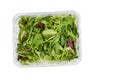 Leaf vegetable salad chopped in a food storage containers on white background. Red and green chard, spinach, rucola, iceberg lettu Royalty Free Stock Photo