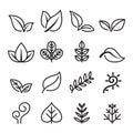 Leaf , vegetarian, Herb icon set in thin line style Royalty Free Stock Photo