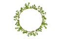 Leaf vine circle isolates on a white background