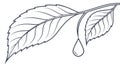 Leaf with Water Drop Outline Vector, vector design Generative AI Royalty Free Stock Photo